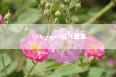 银川第九金是