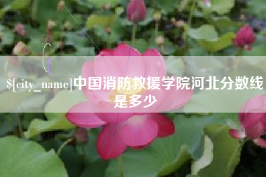 银川中国消防救援学院河北分数线是多少