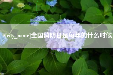 银川全国消防日是每年的什么时候