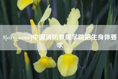 银川中国消防救援学院招生身体要求