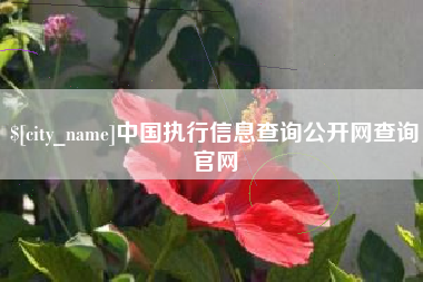 银川中国执行信息查询公开网查询官网