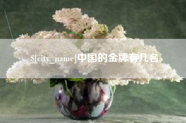 银川中国的金牌有几名