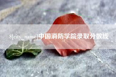 银川中国消防学院录取分数线