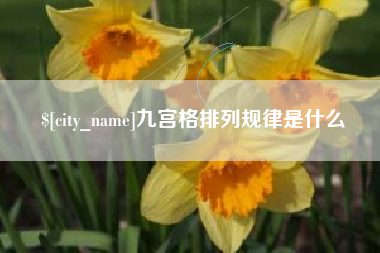 银川九宫格排列规律是什么