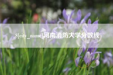 银川河南消防大学分数线