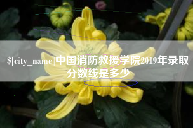 银川中国消防救援学院2019年录取分数线是多少