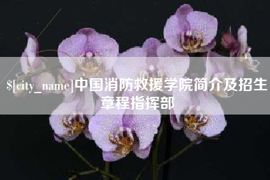 银川中国消防救援学院简介及招生章程指挥部