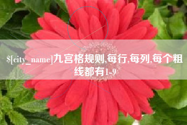 银川九宫格规则,每行,每列,每个粗线都有1-9