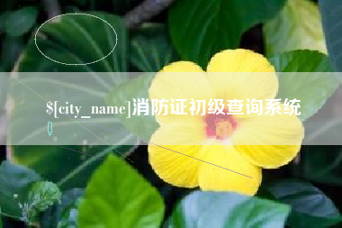 银川消防证初级查询系统