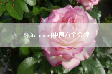 银川中国六个金牌