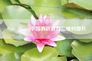 银川中国消防官方二维码图片
