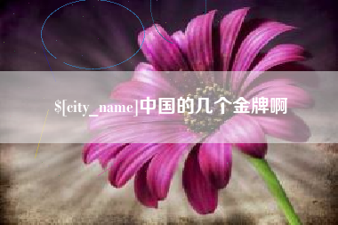 银川中国的几个金牌啊