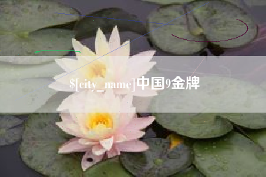 银川中国9金牌