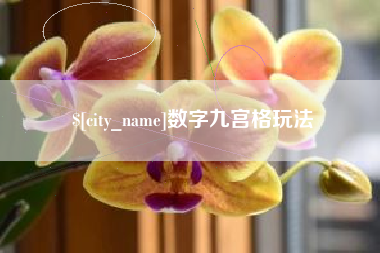 银川数字九宫格玩法