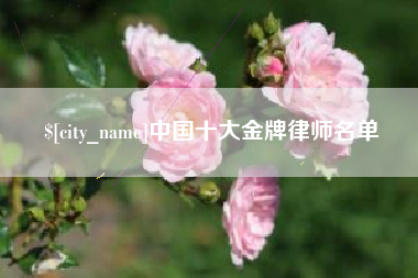 银川中国十大金牌律师名单