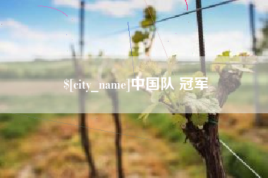 银川中国队 冠军