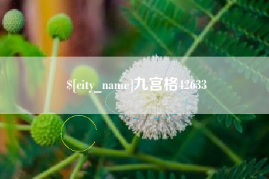银川九宫格42633