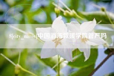 银川中国消防救援学院管严吗