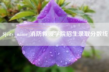 银川消防救援学院招生录取分数线