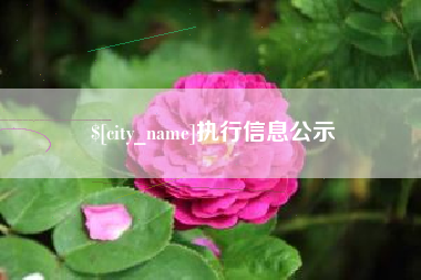 银川执行信息公示