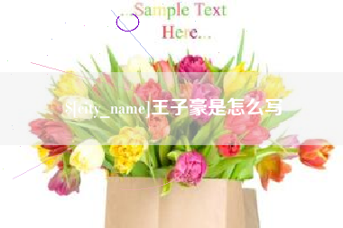 银川王子豪是怎么写