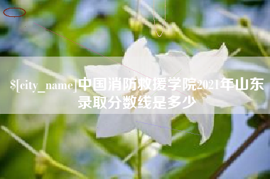 银川中国消防救援学院2021年山东录取分数线是多少