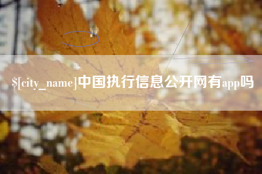 银川中国执行信息公开网有app吗