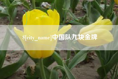 银川中国队九块金牌