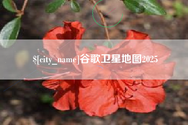 银川谷歌卫星地图2025