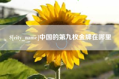 银川中国的第九枚金牌在哪里