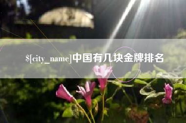 银川中国有几块金牌排名