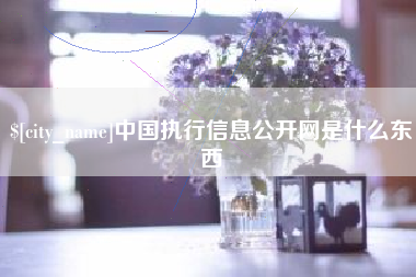 银川中国执行信息公开网是什么东西