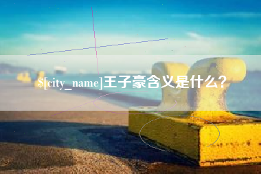 银川王子豪含义是什么？