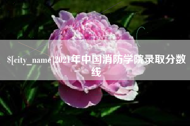 银川2021年中国消防学院录取分数线