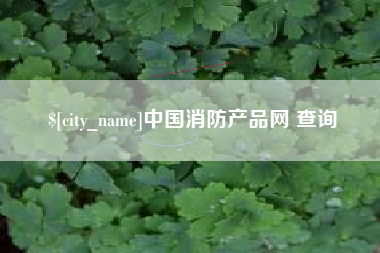 银川中国消防产品网 查询