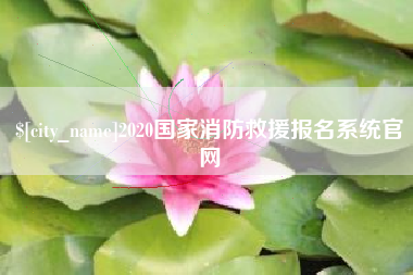 银川2020国家消防救援报名系统官网