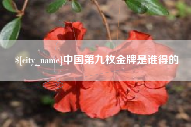 银川中国第九枚金牌是谁得的