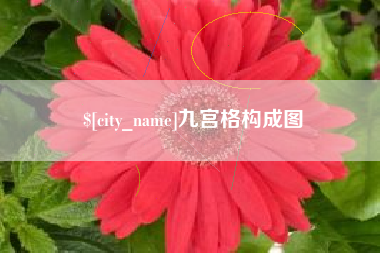 银川九宫格构成图
