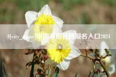 银川中国消防官网报名入口2024