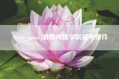 银川消防救援学院报考条件