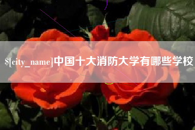银川中国十大消防大学有哪些学校