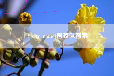 银川国家队图案
