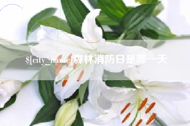 银川森林消防日是哪一天