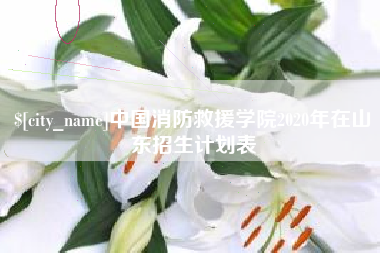 银川中国消防救援学院2020年在山东招生计划表