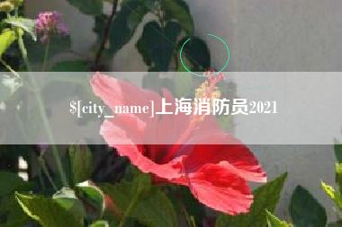 银川上海消防员2021