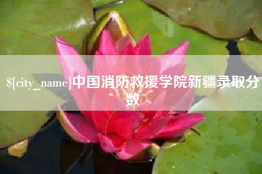 银川中国消防救援学院新疆录取分数
