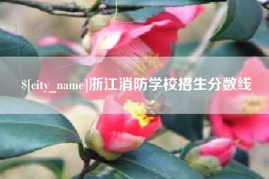 银川浙江消防学校招生分数线