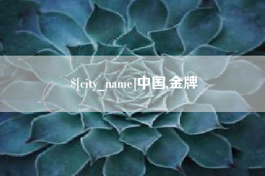 银川中国,金牌