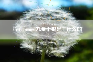 银川九金十银是干什么的