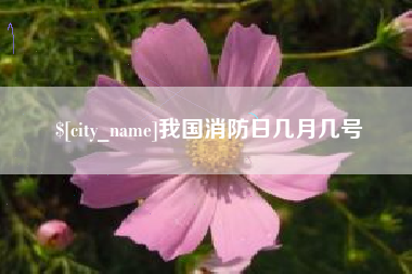 银川我国消防日几月几号